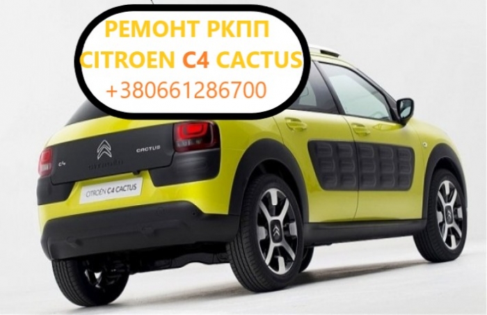 Діагностика та ремонт РКПП  Citroen C4 Cactus 2231V2, 2232W9, 2461F2